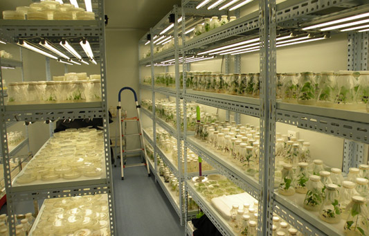 恒溫恒濕培養(yǎng)倉庫