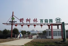 蕪湖樹林生物科技食用菌培養(yǎng)室