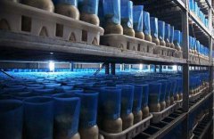 小型食用菌工廠化生產(chǎn)方案