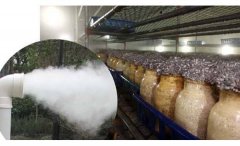 食用菌工廠化用噴霧降塵可靠嗎